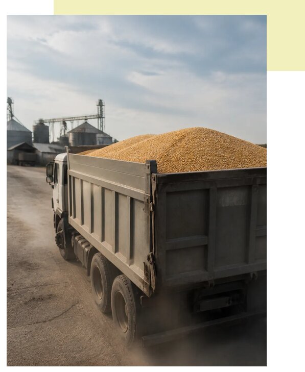 Перевозка сельхозпродукции навалом в Одинцово по цене от 3107 р. | Агросервис-Днц